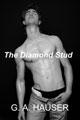 The Diamond Stud