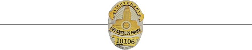 The Detective Lt Jeff Chandler Mysteries